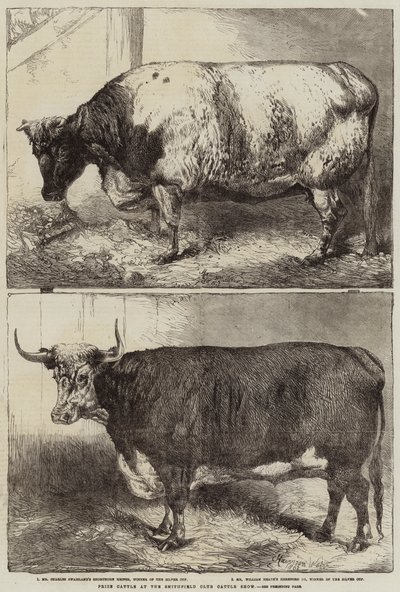Ganado premiado en la Exposición de Ganado del Club Smithfield de Harrison William Weir